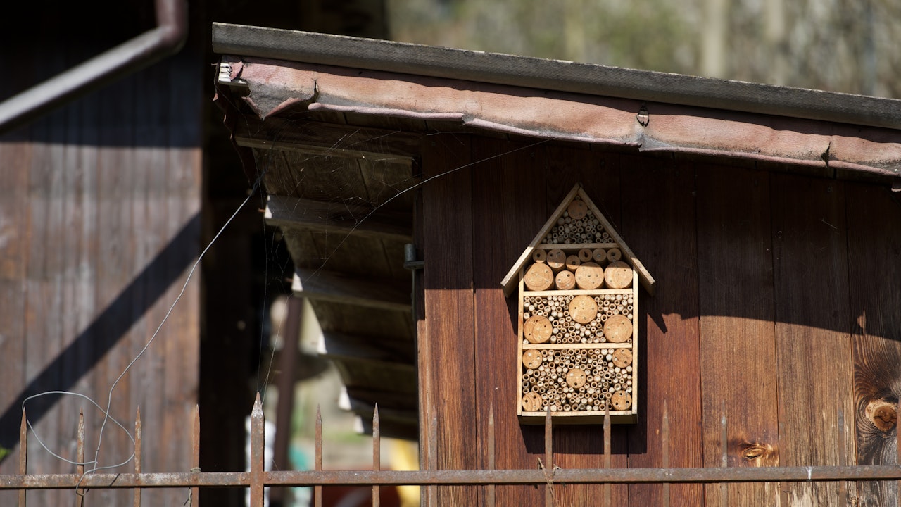 Das Insektenhotel bietet Nistplätze für Wildbienen und andere nützliche Insekten.