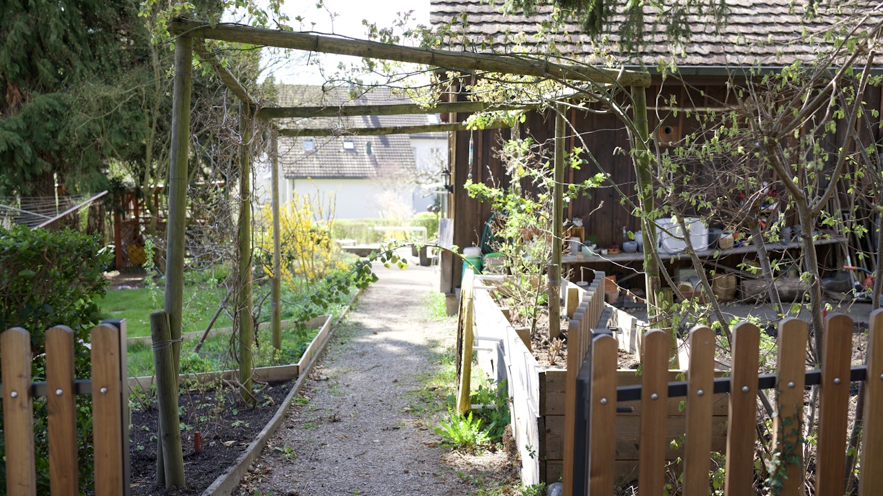 Eine begrünte Pergola lässt im Winter Licht durch und spendet im Sommer Schatten – zugleich bietet sie Lebensraum für Insekten und Vögel.