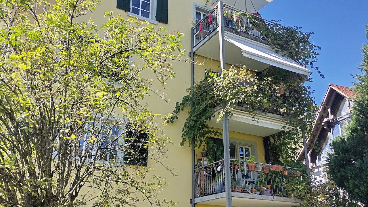 Auch auf dem Balkon lassen sich mit Blumentöpfen vielfältige Pflanzungen umsetzen.