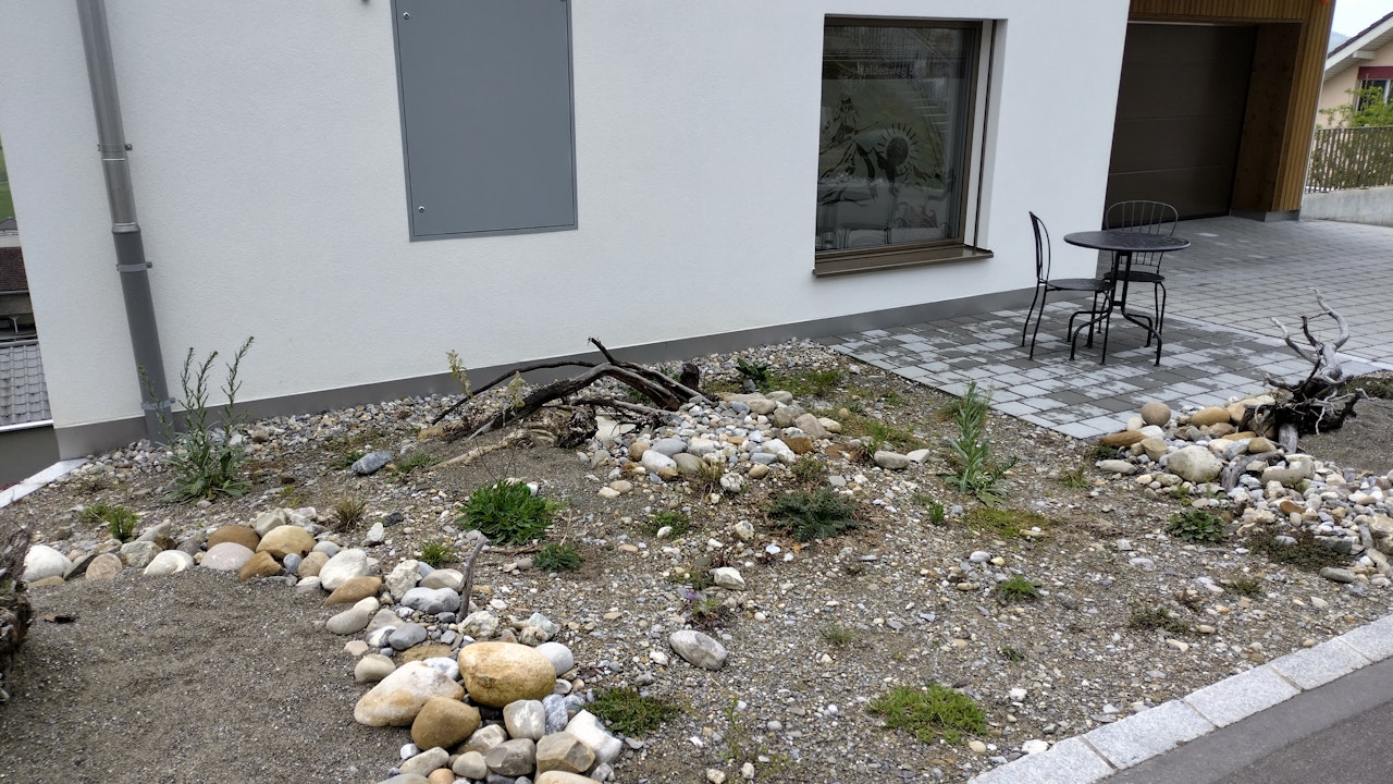 Kleinstrukturen wie Totholz und Sandlinsen schaffen Lebensräume für Insekten, Reptilien und Kleinsäuger.