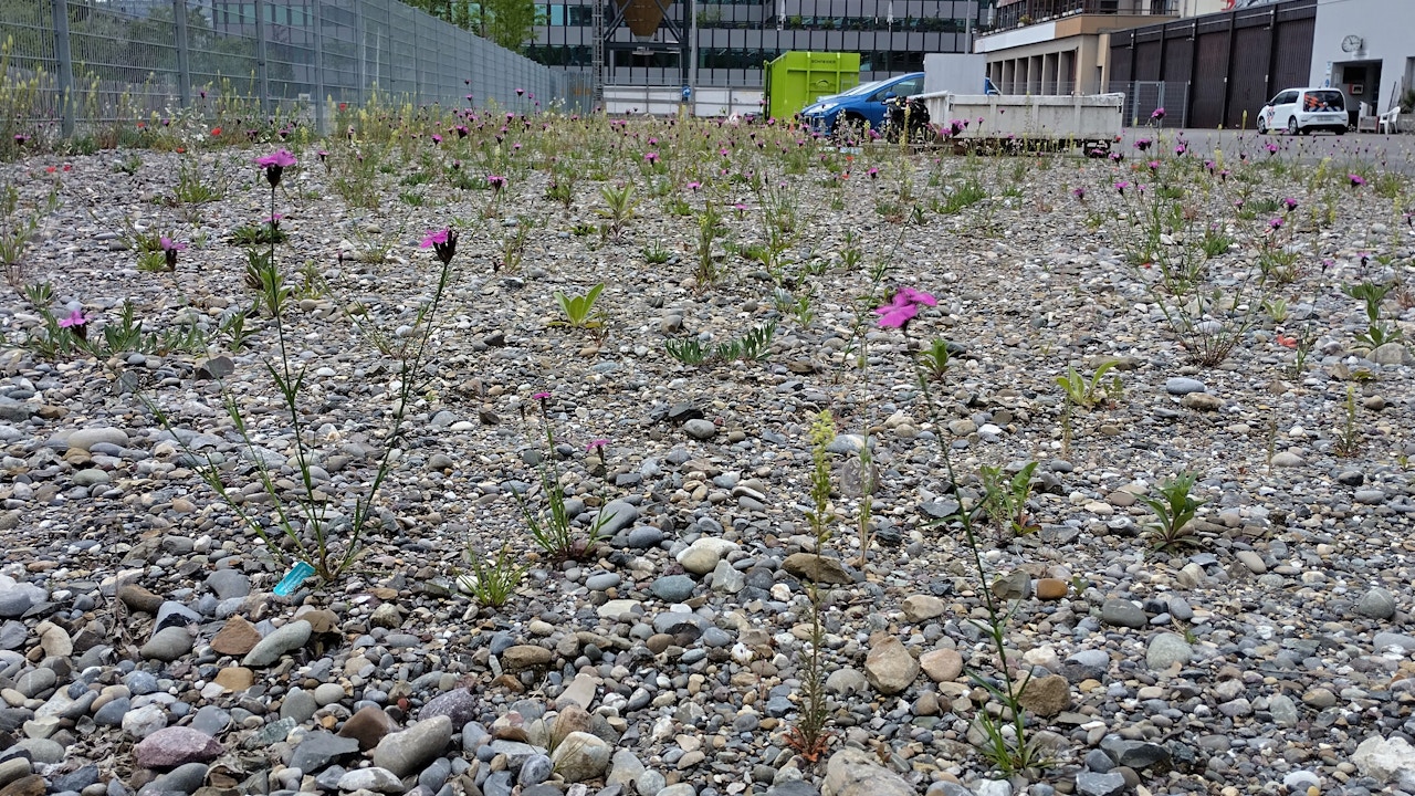 Introducendo piccole strutture, la superficie viene valorizzata ecologicamente e arricchita dal punto di vista strutturale.