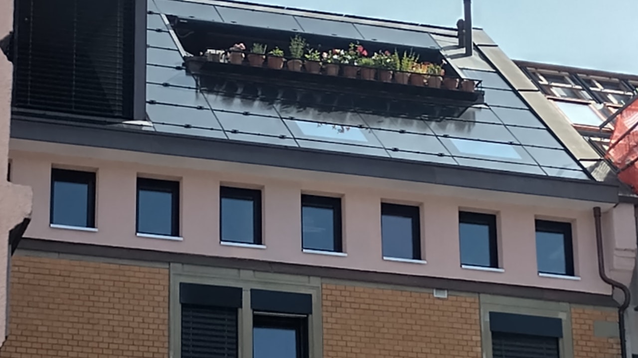 Bepflanzte Fenstersimse dienen als Trittsteinbiotope und vernetzen Lebensräume im Siedlungsraum.