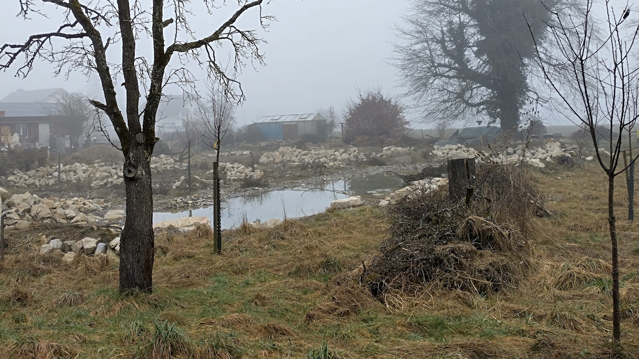Durch das Ergänzen der Uferstruktur mit Steinen, Totholz und Asthaufen entstehen vielfältige Rückzugsorte für Tiere und fördern die biologische Vielfalt.