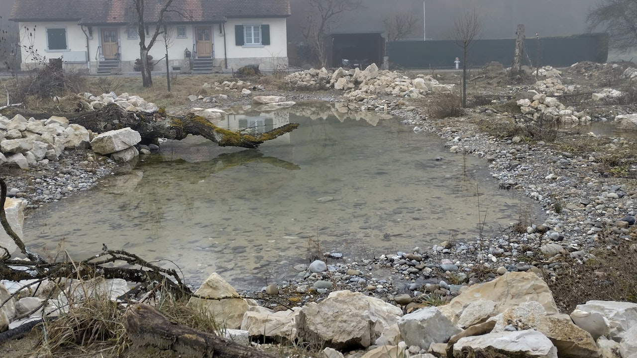 Kleingewässer gehören zu den artenreichsten Lebensräumen und steigern das ökologische Potenzial einer Fläche.