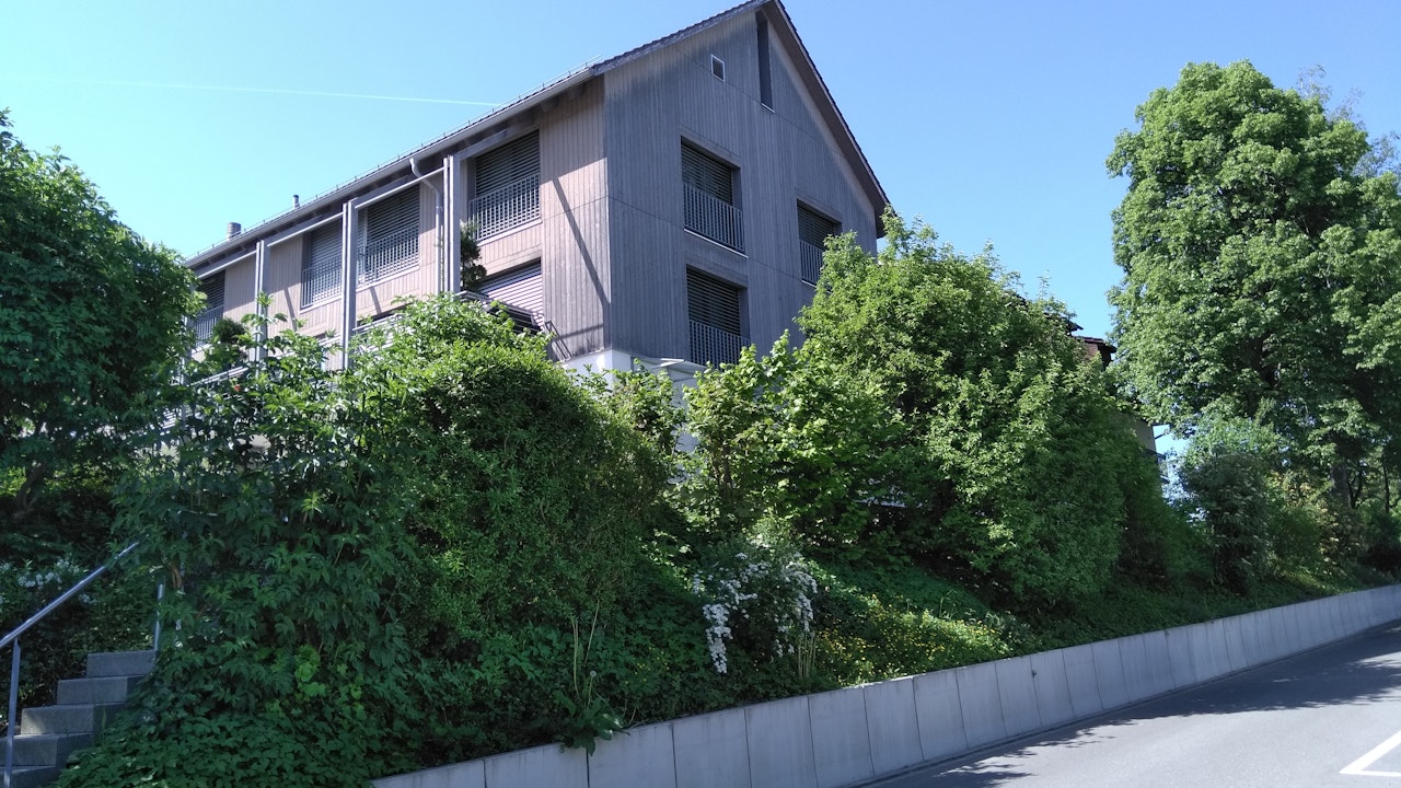 Eine Wildhecke aus einheimischen Gehölzen fördert die Biodiversität deutlich stärker als eine Schnitthecke.
