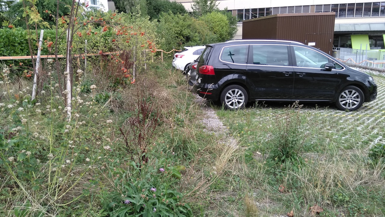Bestehende Parkflächen lassen sich mit einfachen Mitteln umgestalten und naturnah ergänzen.