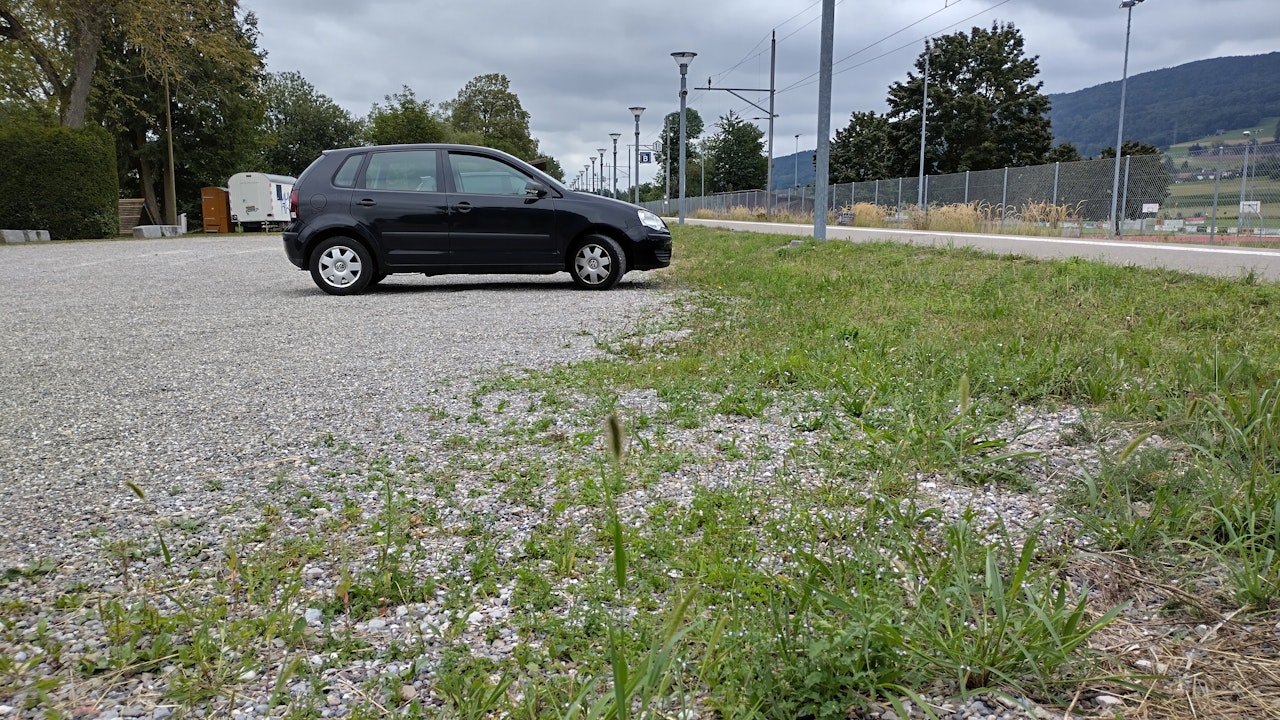 Durch Entsiegelung, Begrünung und strukturreiche Gestaltung wird der Parkplatz ökologisch aufgewertet.