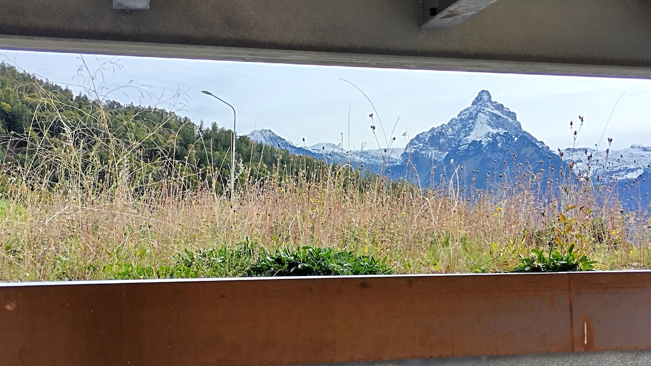 Die Begrünung von Dächern verwandelt ungenutzte Flächen in vielfältige Biotope mit ökologischem Mehrwert.