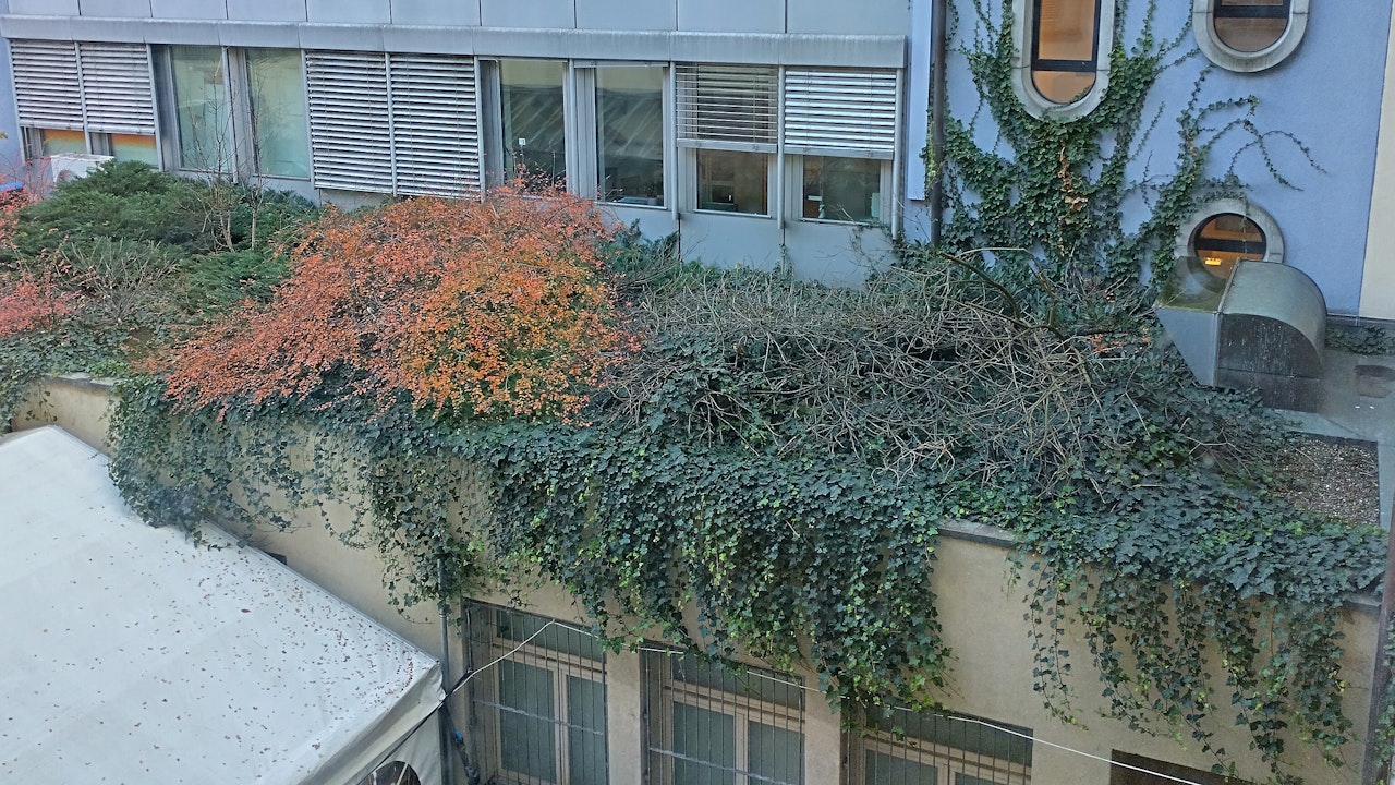 Begrünte Dächer schaffen wertvolle Lebensräume und tragen zum Klimaschutz sowie zur Verschönerung der Stadt bei.