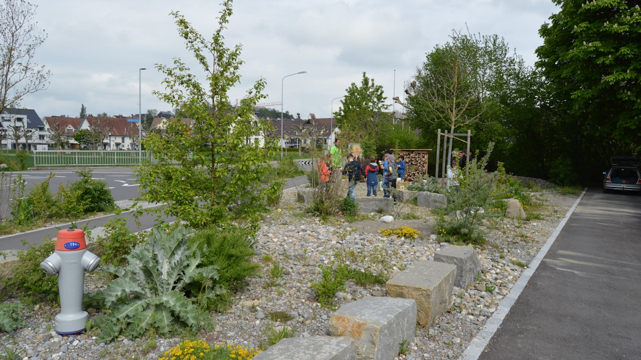 Ruderalflächen entwickeln sich stetig weiter und sind wertvolle dynamische Vegetationstypen.
