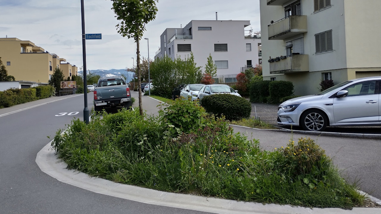 Naturnahes Strassenbegleitgrün bringt mehr Lebensraum für Insekten, wertet Quartiere auf und macht den Siedlungsraum lebendig und attraktiv. wertet den Siedlungsraum und Quartiere auf.