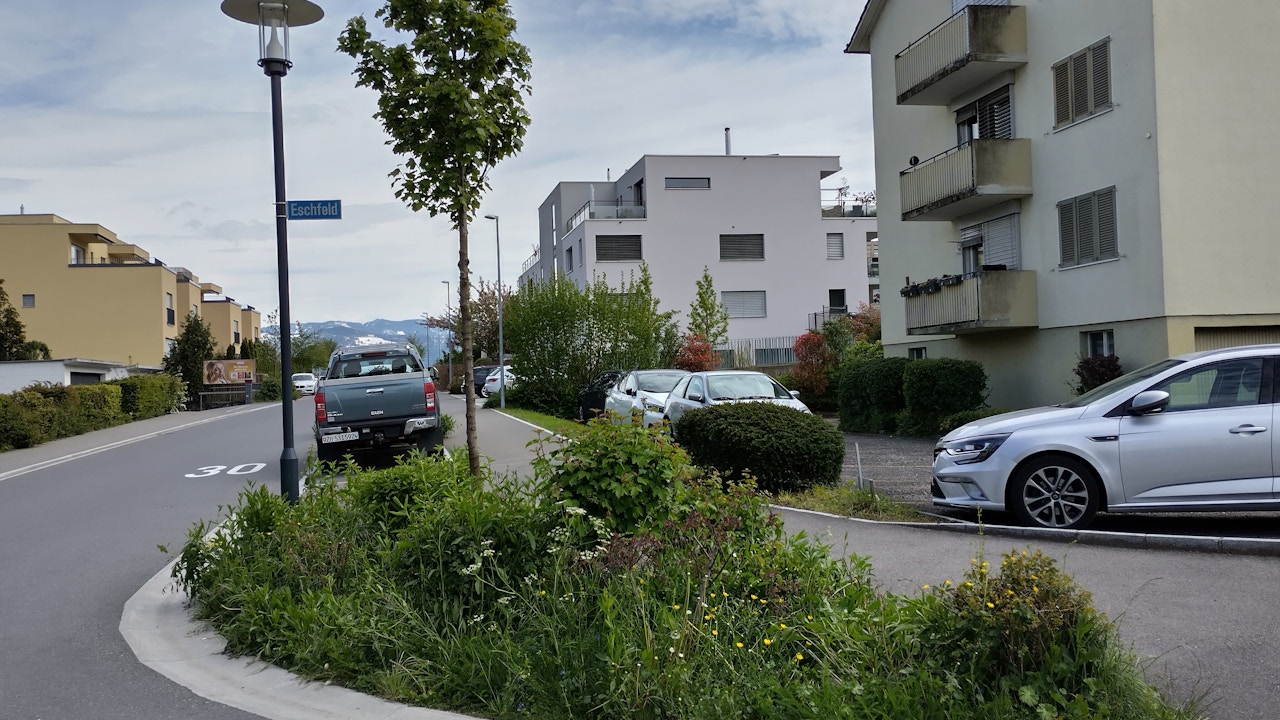 Naturnahes Strassenbegleitgrün bringt mehr Lebensraum für Insekten, wertet Quartiere auf und macht den Siedlungsraum lebendig und attraktiv. wertet den Siedlungsraum und Quartiere auf.