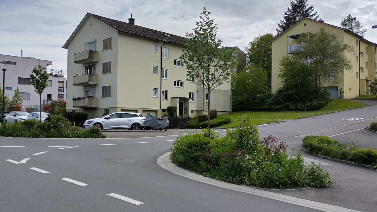 Blühende Quartierstrasse mit naturnahem Strassenbegleitgrün fördern die Biodiversität.