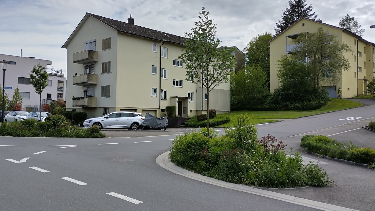 Blühende Quartierstrasse mit naturnahem Strassenbegleitgrün fördern die Biodiversität.