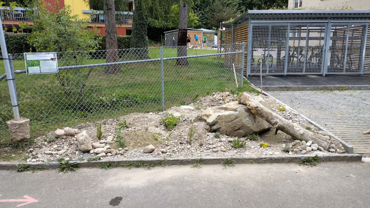 Selbst kleine Ecken am Trottoir haben Potenzial für naturnahe Lebensräume, die Biodiversität fördern und das Quartier aufwerten.