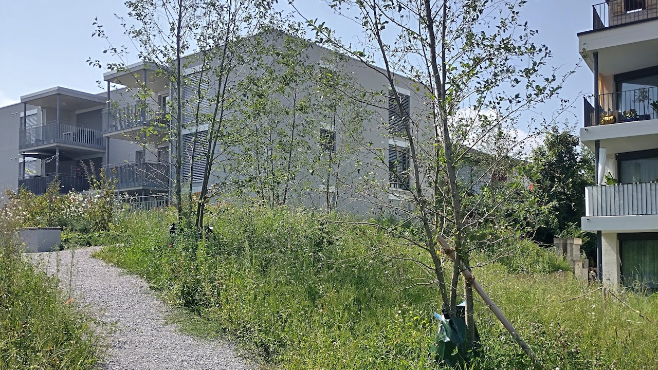 Durchlässige Wege lassen Regenwasser versickern und schaffen gleichzeitig blühende Wegränder als Lebensraum für Insekten.