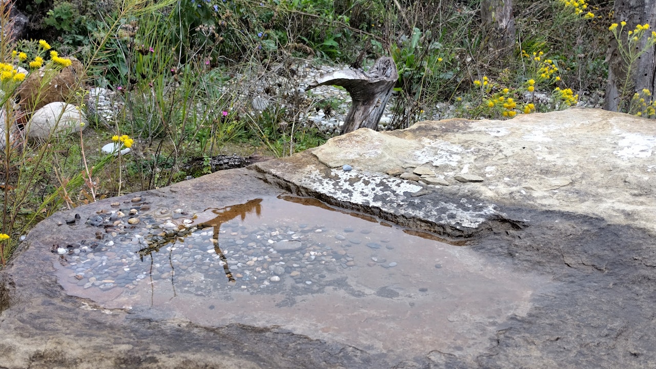 Wechselfeuchte Stellen – wie eine Pfütze auf einem Stein – bieten wertvolle Trittsteine für Insekten und andere Kleintiere.