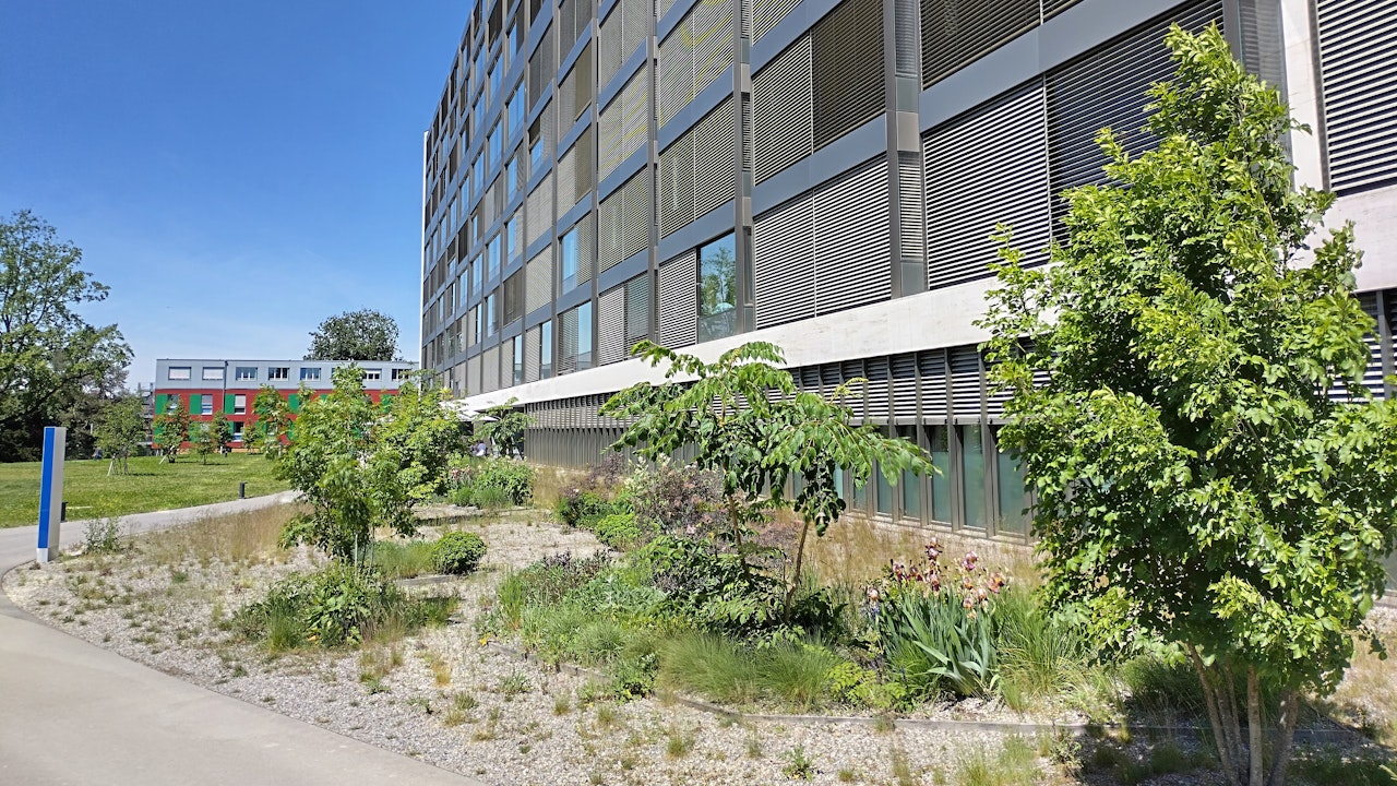 Aufwertungen rund um das Firmengelände fördern Biodiversität und schaffen attraktive Aufenthaltsräume für Mitarbeitende.
