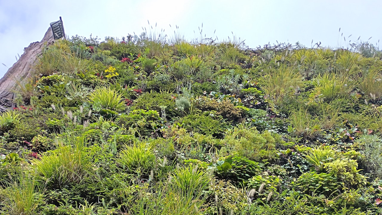 Wer etwas mehr Budget hat, kann anstelle von Kletterpflanzen auf Installationen für vertikale Begrünung setzen – für ein modernes, grünes Fassadendesign.