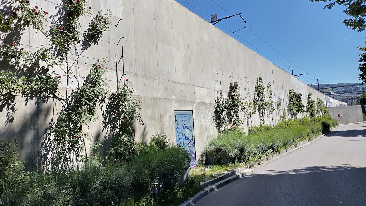 Nicht nur Gebäude, sondern auch Mauern eignen sich für vertikale Begrünung – auch sie bringen Grün in den Siedlungsraum.