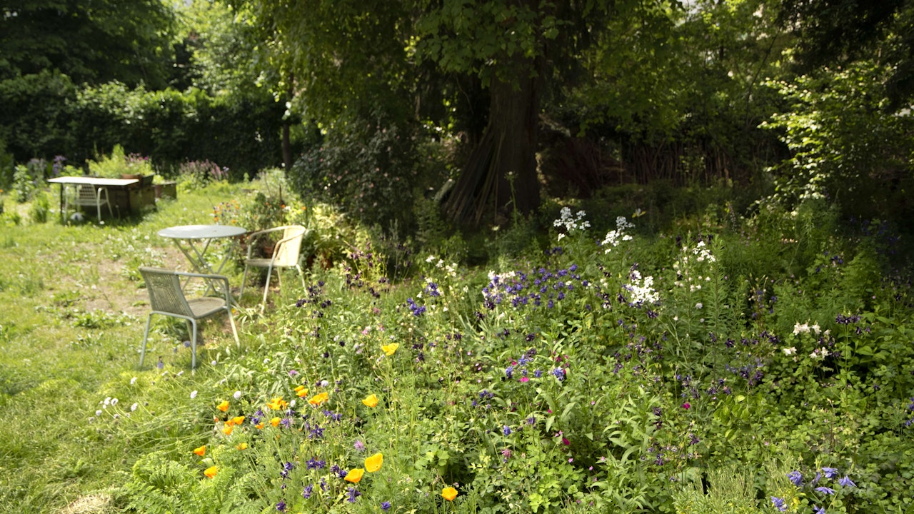 Ein naturnaher Garten bietet für alle etwas: ein schattiger Sitzplatz unter dem Baum für Menschen und eine vielfältige Blütenpracht als Lebensraum für Insekten.