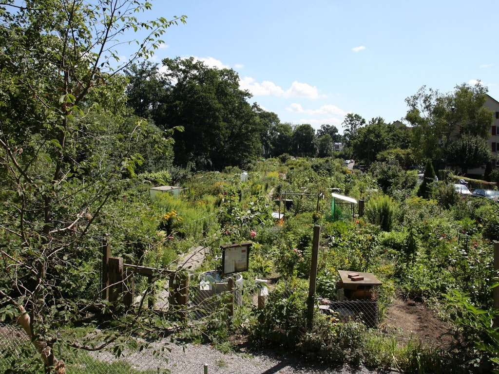 Der Familiengarten im Rossfeld ist einer von 28 Familiengärten-Arealen in Bern und bieter Raum zum Gärtnern, zur Erholung und für Naturerlebnisse.