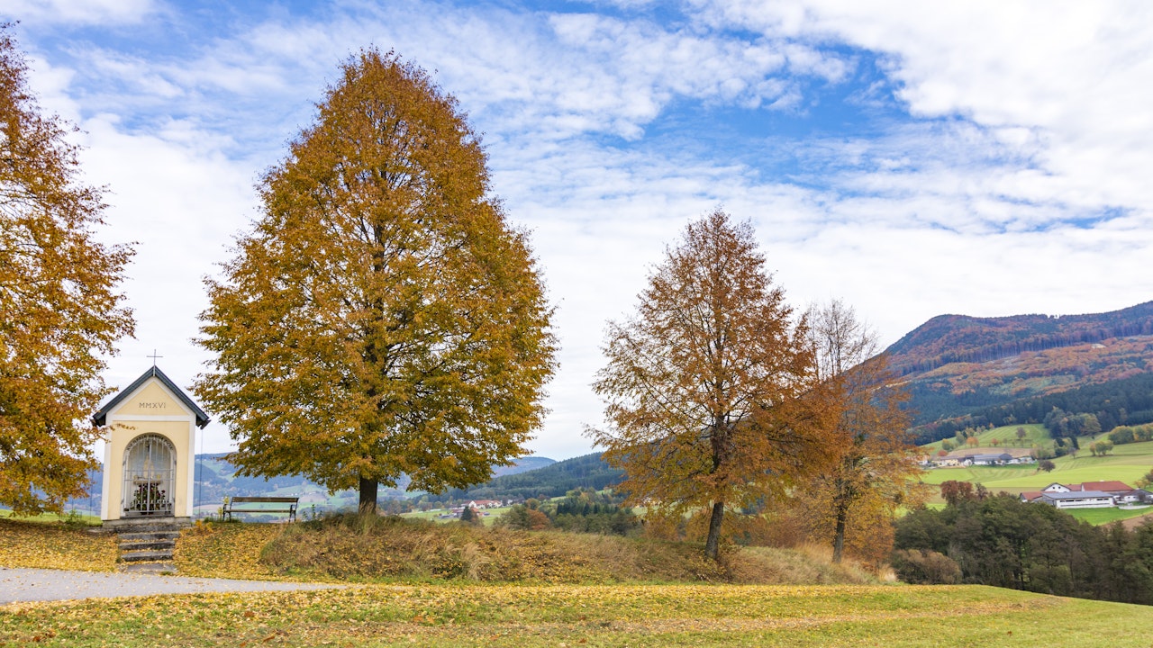 Glaube als Motivation: Menschen engagieren sich für Klimaschutz und Biodiversität und stiften gemeinsam Hoffnung für die Zukunft.