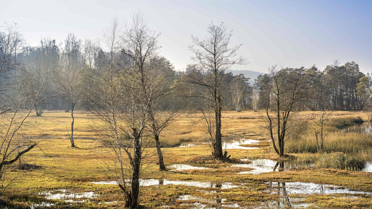Moorlandschaften verbinden Klimaschutz und Erholung: Als natürliche CO₂-Speicher sind sie für Mensch und Natur besonders wertvoll.