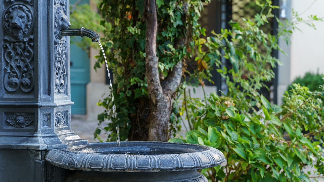 Intakte Ökosysteme reinigen Wasser auf natürliche Weise und liefern sauberes, wertvolles Trinkwasser.