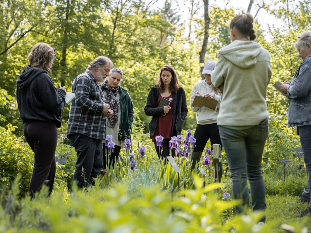 Ein vielfältiges Angebot an Kursen und Workshops fördert die Sinneswahrnehmung und kreatives Lernen in der Natur.