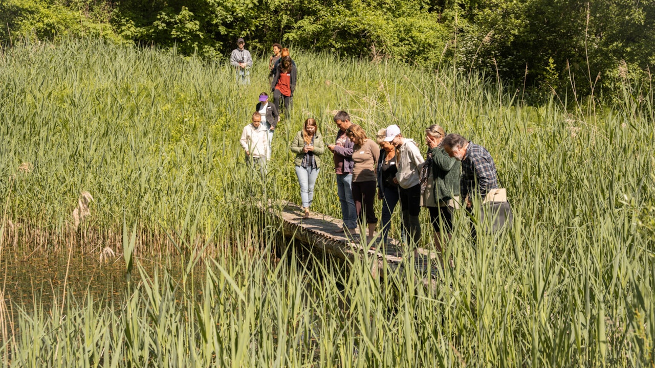 In den Teichen der ehemaligen Tongrube leben seltene Amphibienarten wie die Gelbbauchunke, die Geburtshelferkröte und der Fadenmolch.