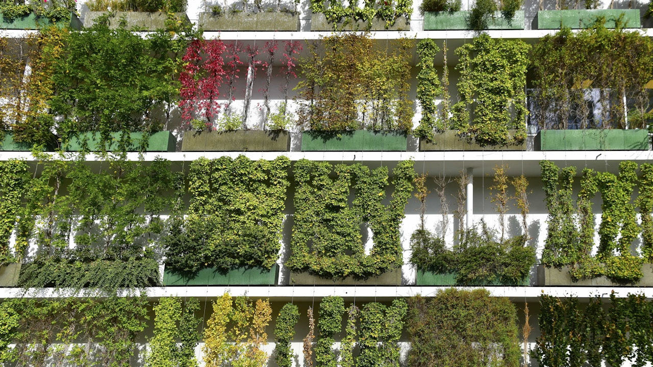 Stücki Park Basel setzt auf Fassadenbegrünung – für mehr Biodiversität, bessere Akustik und ein gesundes Stadtklima.