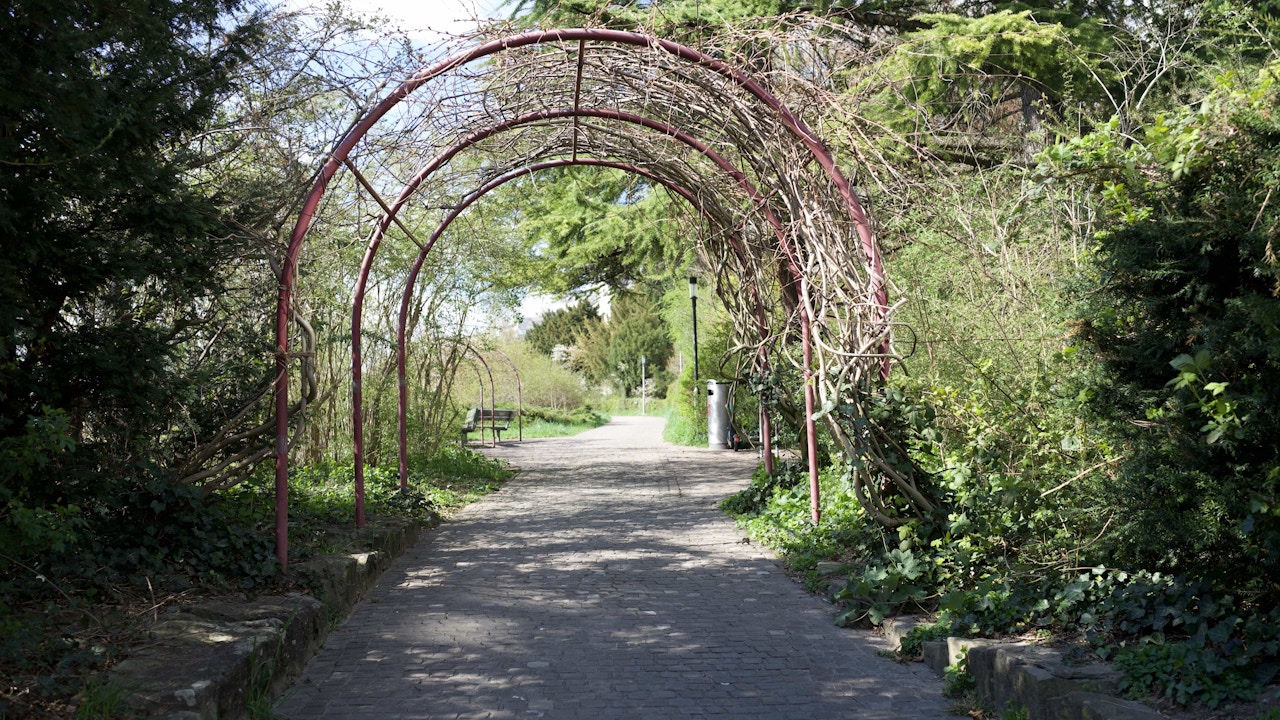 Une pergola végétalisée laisse passer la lumière du soleil au printemps et offre une ombre fraîche et naturelle en été.