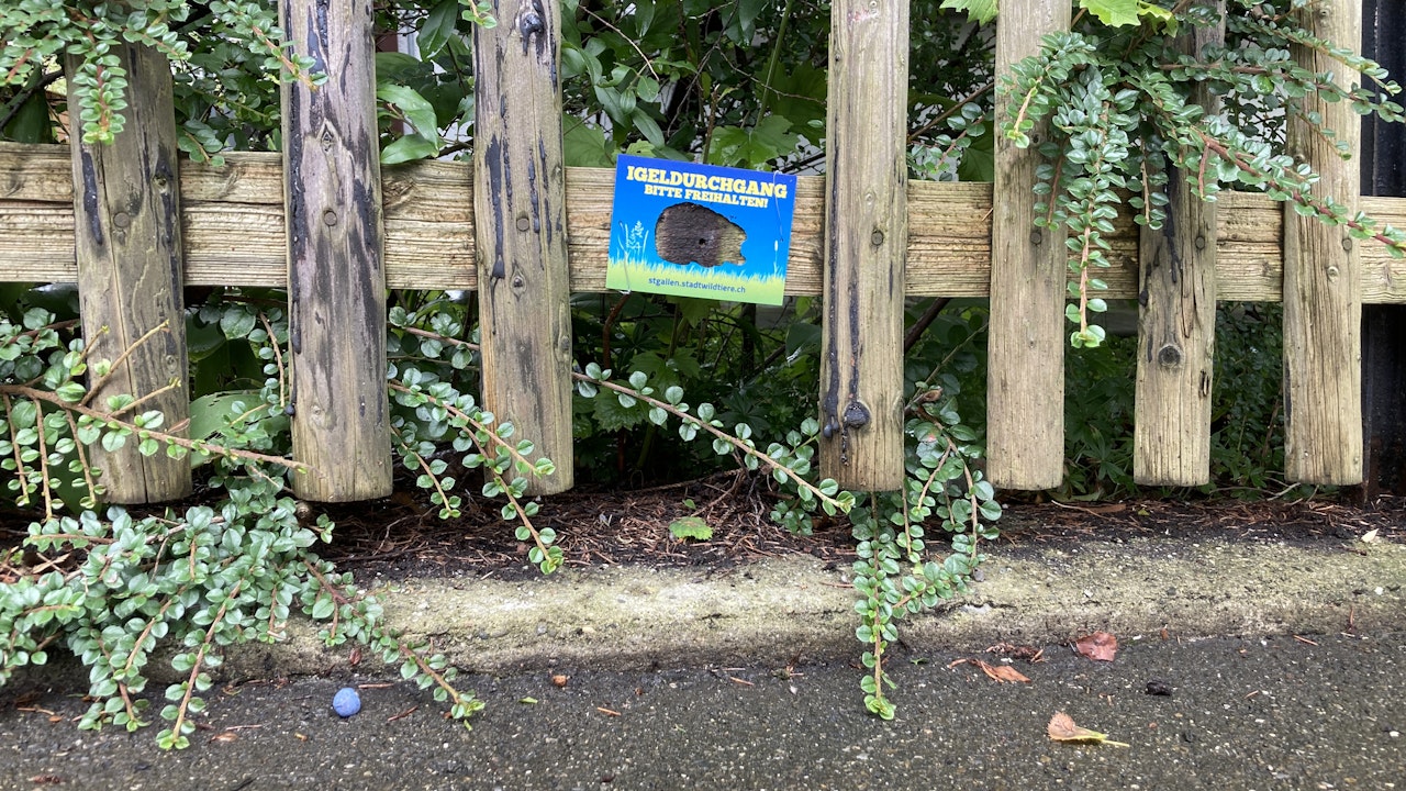 Igel-Plakette an Durchgängen