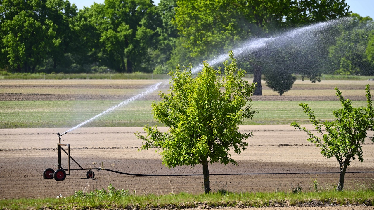 Intensive Bewässerung geht oft mit dem Einsatz von Pestiziden einher – mit gravierenden Folgen für Boden, Wasser und Biodiversität.