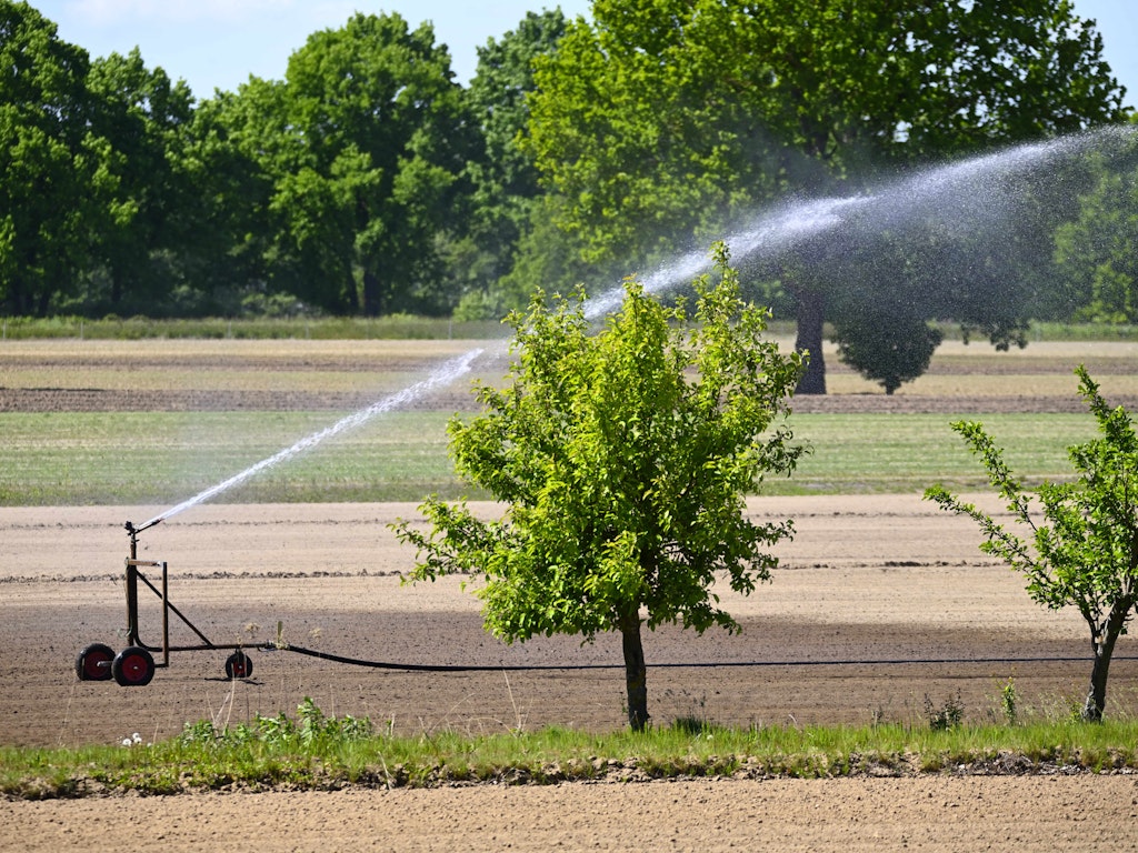 Intensive Bewässerung geht oft mit dem Einsatz von Pestiziden einher – mit gravierenden Folgen für Boden, Wasser und Biodiversität.