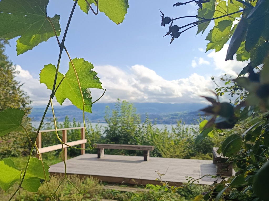 Aussichtsterrasse mit Blick über den Zürisee