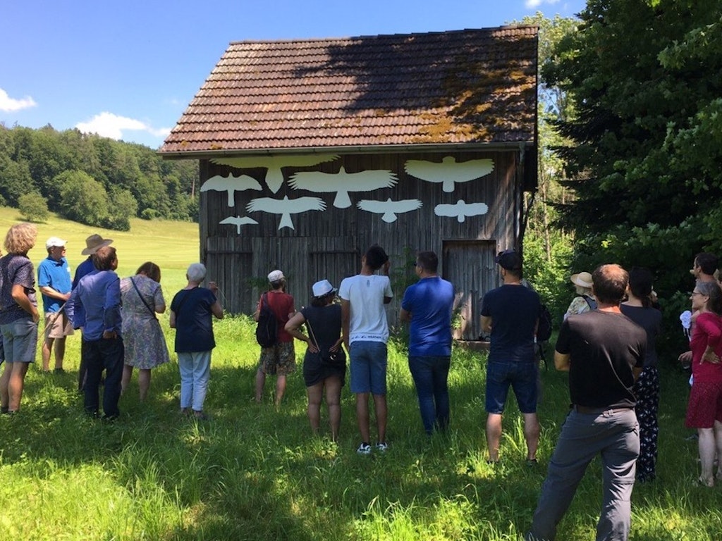 Veranstaltung zu Greifvögeln-Naturbildung