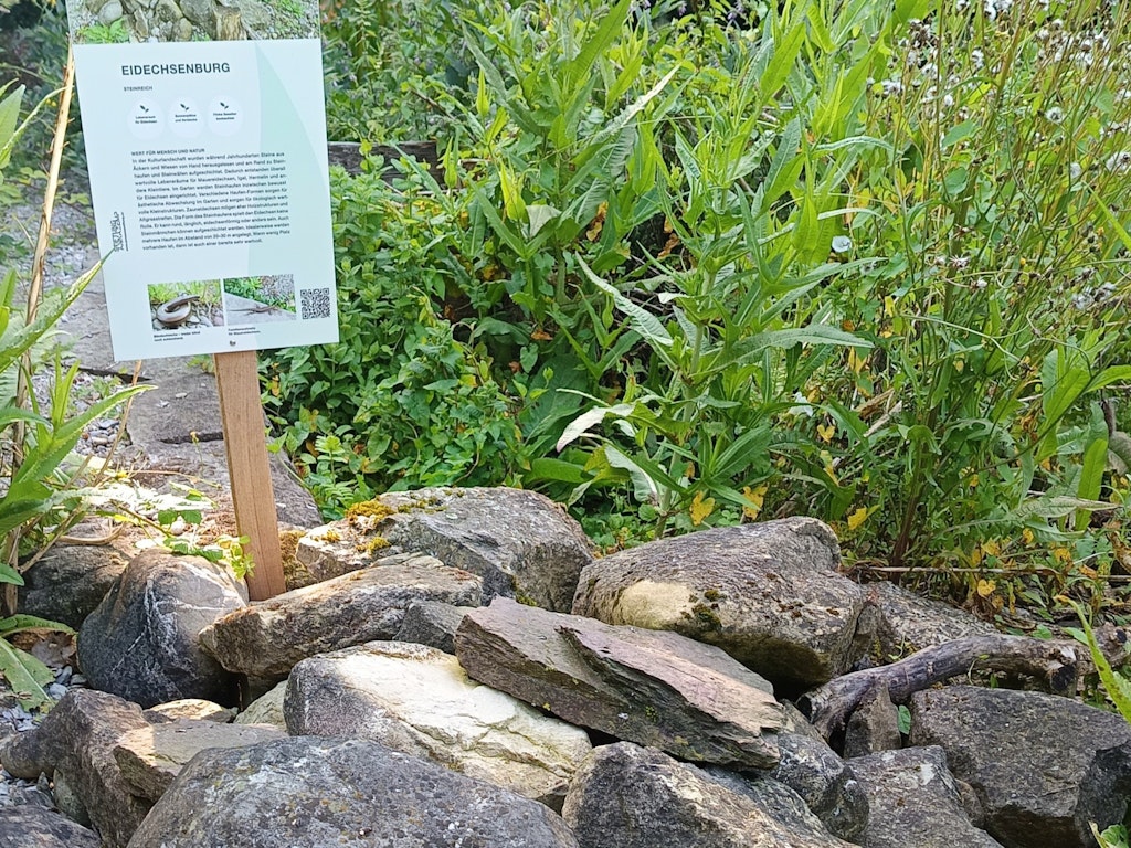 Naturmodul Eidechsenburg mit Infotafel