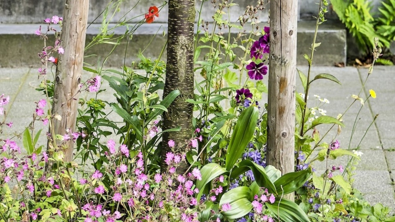 Lebendige Stadtböden