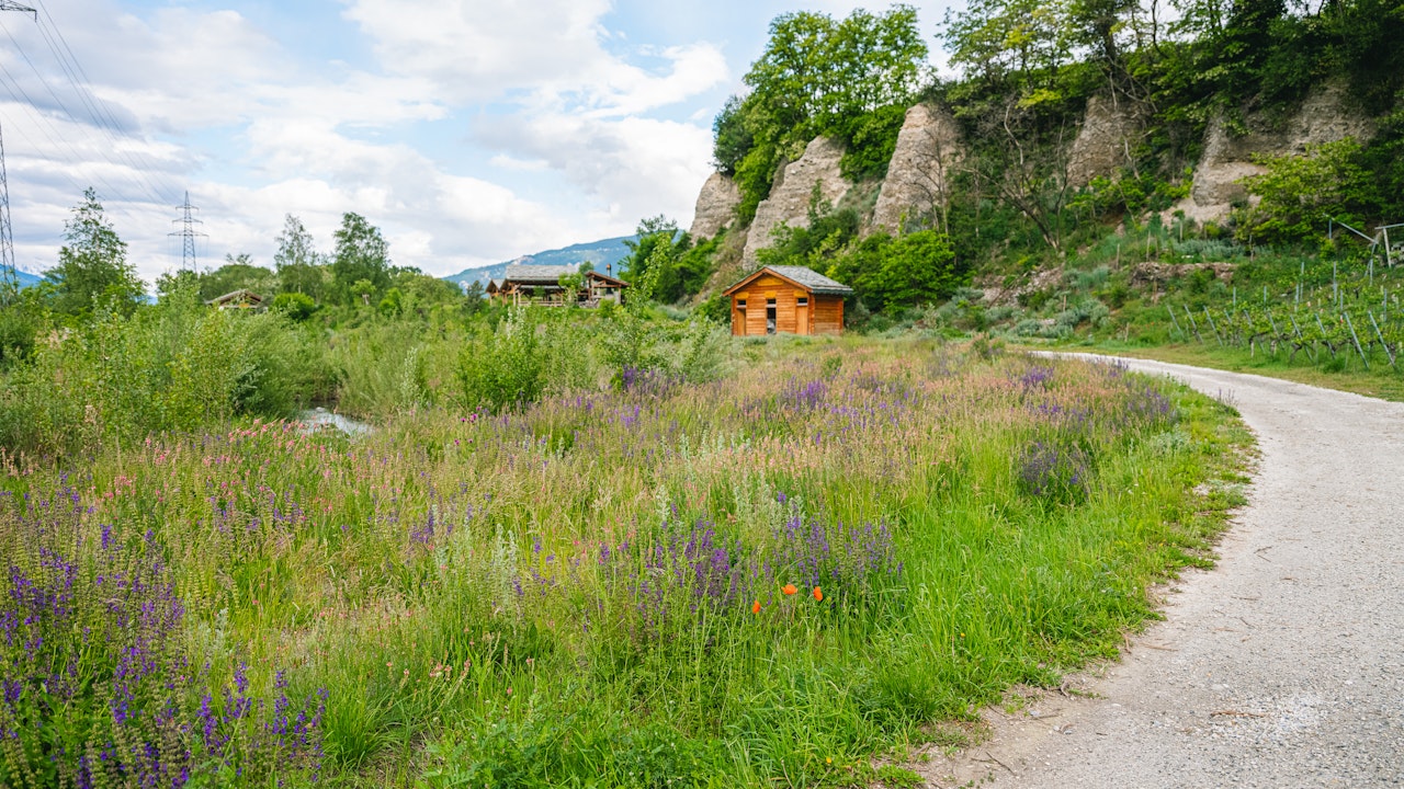Vielfalt im Naturpark Pfyn-Finges