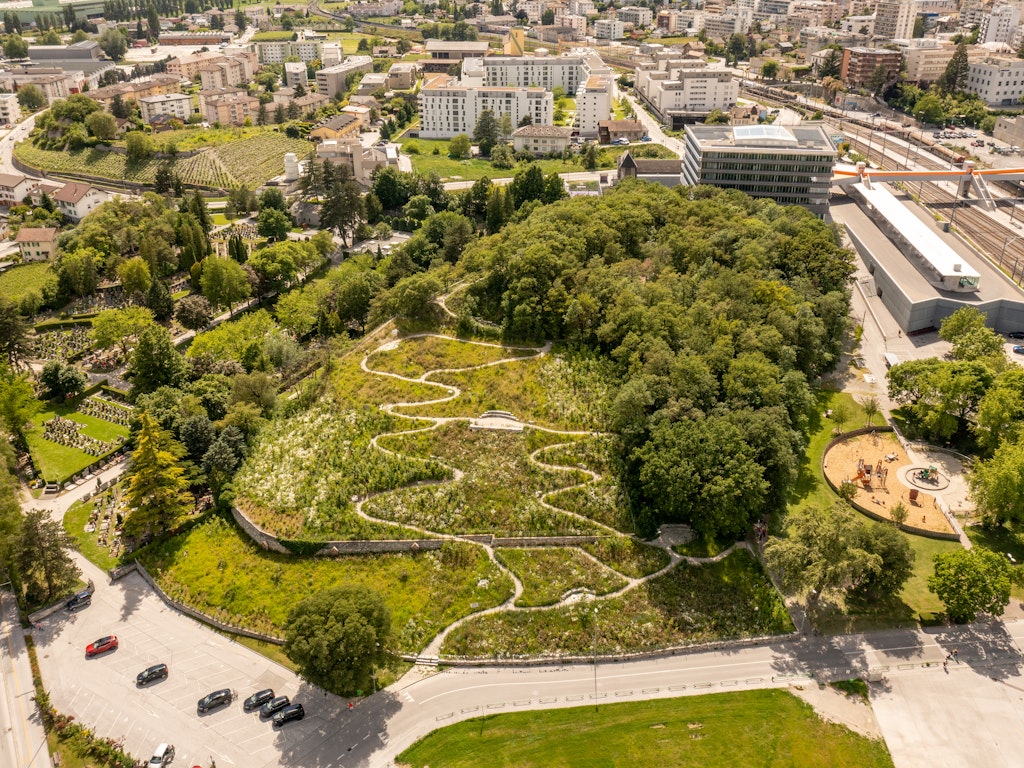 Petit-Bois in Sierre: aus einem Rebberg wird ein biodiverses Naherholungsgebiet