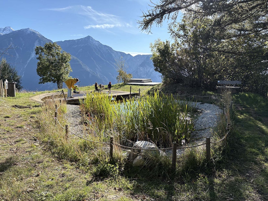 Aus eins mach zwei – Biotop und Kinderplanschbecken