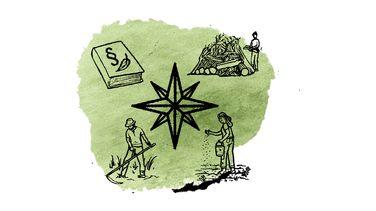 Tu as créé une vision pour ton propre point de biodiversité – il s’agit maintenant de la réaliser! Tu reçois des instructions simples, des conseils pratiques, des offres adaptées et un accompagnement de la part de professionnels de la branche.