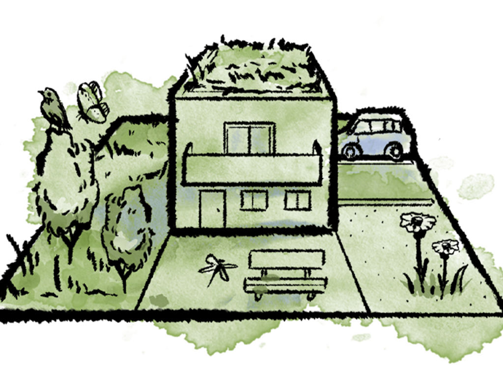 Hai creato una visione per il tuo punto di biodiversità. Ora è il momento di realizzarla! Riceverai semplici istruzioni, consigli pratici, offerte su misura e supporto dal settore.
