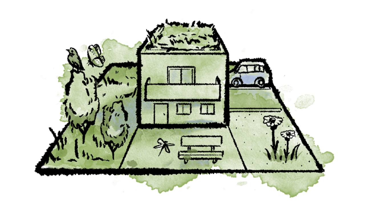 Tu as créé une vision pour ton propre biotope-relais – il s’agit maintenant de la réaliser! Tu reçois des instructions simples, des conseils pratiques, des offres adaptées et un accompagnement de la part de professionnels de la branche.