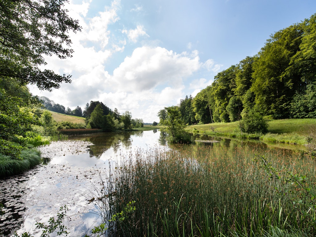 Eigentalweiher