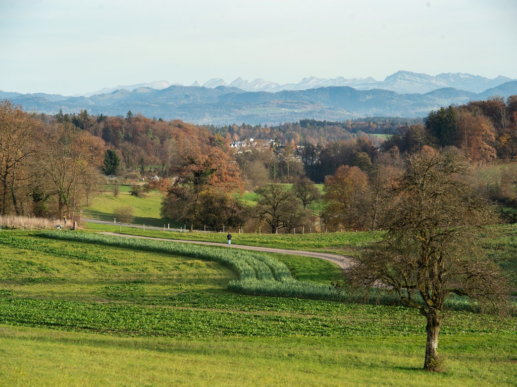 Nägelimoos Umgebung