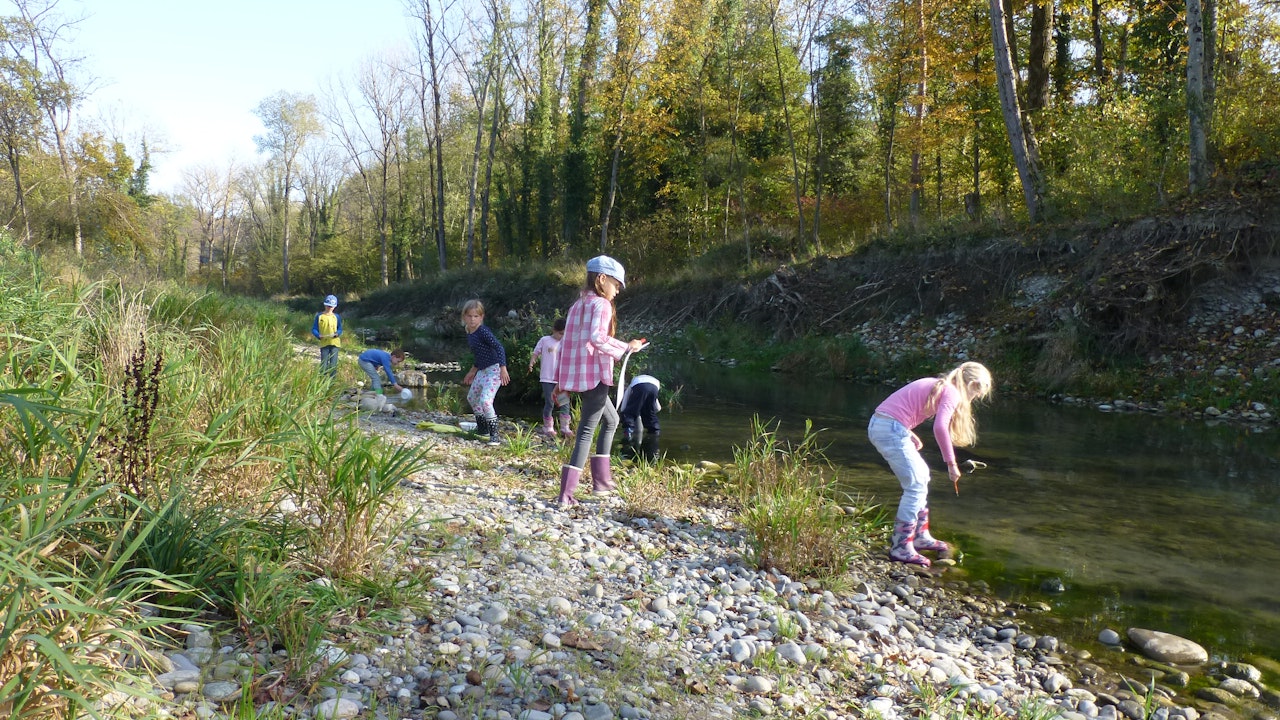 Wasserdetektive – Kinder entdecken und erforschen den Lebensraum Fliessgewässer