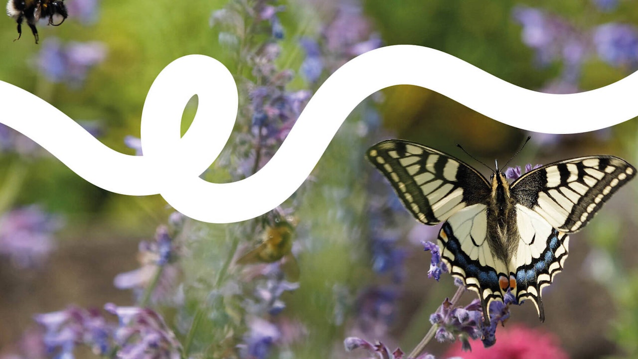 Pro Natura unterstützt Sie mit verschiedenen kostenlosen Angeboten bei der Gestaltung Ihres persönlichen Naturgartens